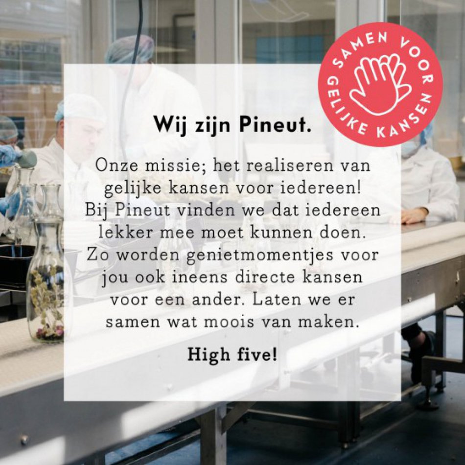 Pineut Gelukzalig Neutje