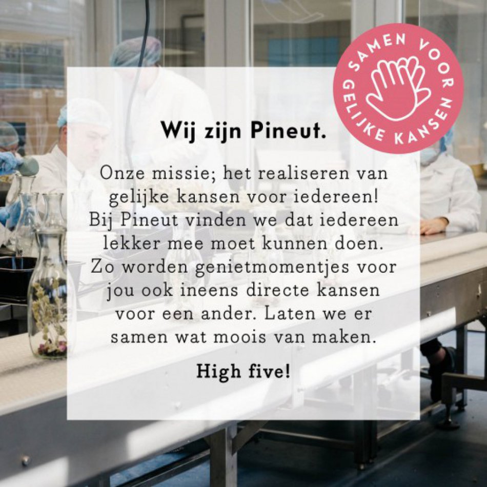 Pineut De Wilde Dame Fles