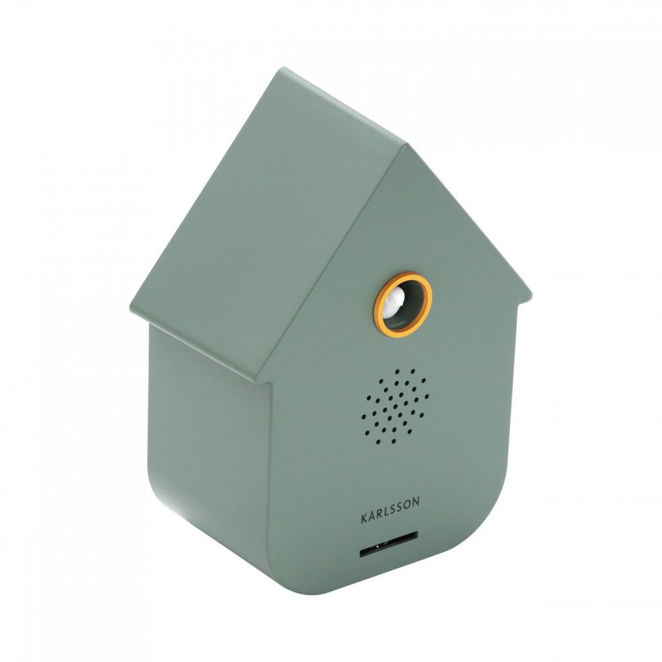 Sound Box Modern Cuckoo Jungle green